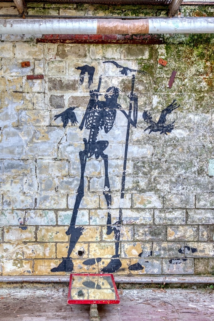 HDR graffiti streetart street-art street art skeleton factory urbex roa klaas van der linden kunst kunstwerk decay verlaten lost place places abandoned